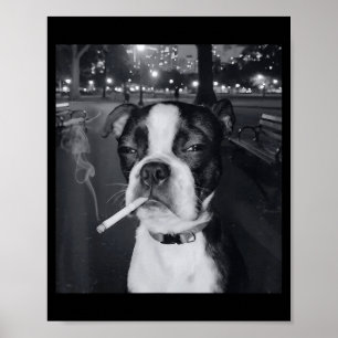 Funny Smoking Dog Meme Cigarette Gen Z Meme Dog Lo Poster