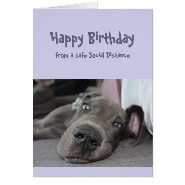 Funny Social Distancing Birthday Great Dane Dog (Front)