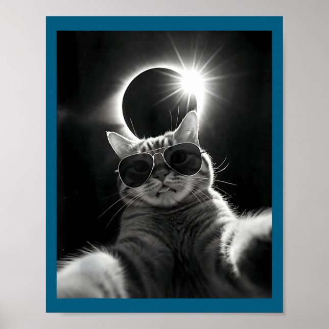 Funny Solar Eclipse Total Solar Eclipse Poster (Front)