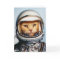 Funny "Space Cat" Birthday