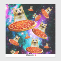 Funny space pizza cat