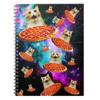 Funny space pizza cat