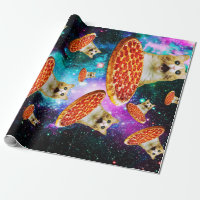 Funny space pizza cat
