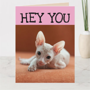 FUNNY SPHYNX CAT BIG BIRTHDAY GREETING CARD