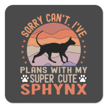 Funny Sphynx Owner Have Plans with Sphynx Cat