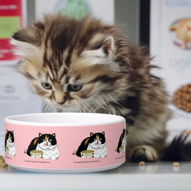 Funny Spoiled Calico Feed Cat Pink Bowl (Creator Uploaded)