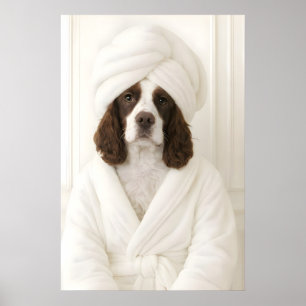 Funny Springer Spaniel Bathroom Print, Springer Poster