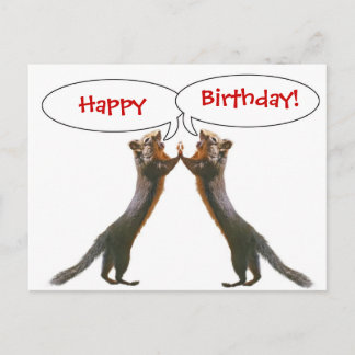 Funny Squirrel Birthday Postcard