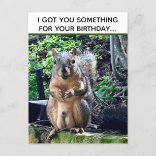 Funny Squirrel Deez Nuts Inappropriate Birthday Postcard