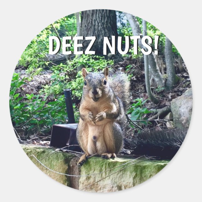 Funny Squirrel Deez Nuts Inappropriate Humour Phot Classic Round Sticker (Front)