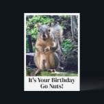 Funny Squirrel Go Nuts It's Your Birthday Card<br><div class="desc">It's your birthday,  go nuts!  A funny squirrel play on words joke about his nuts. Adult humour birthday card with a cute animal photo. Hilarious picture and quote for a friend on their special day.</div>
