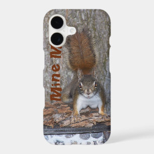 Funny Squirrel iPhone Case