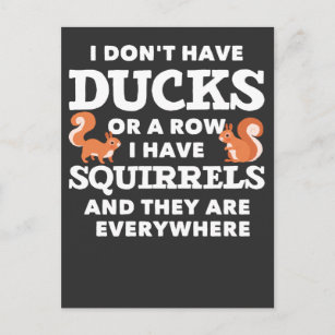 Funny Squirrel Joke Hilarious Rodent Humour Postcard