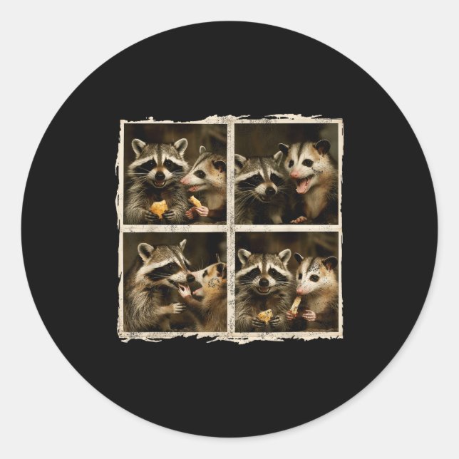 Funny Ssum And Raccoon Photobooth Selfie Trash Fer Classic Round Sticker (Front)