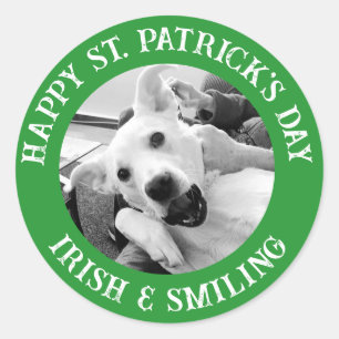 Funny St. Patrick's Day Irish and Smiling Dog Classic Round Sticker
