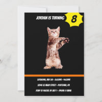 Funny standing playful kitten