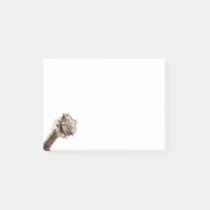 Funny Sticky Notes with Happy Playful Ostrich