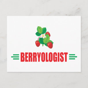 Funny Strawberries Postcard