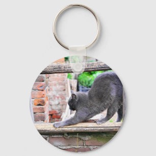 Funny stretching cat key ring