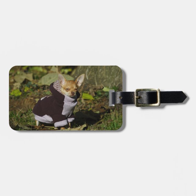 Funny Stylish Dressed Chihuahua Puppy Luggage Tag (Front Horizontal)