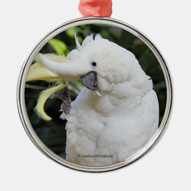 Funny Sulphur-Crested Cockatoo Parrot Bird Waves Metal Tree Decoration (Front)