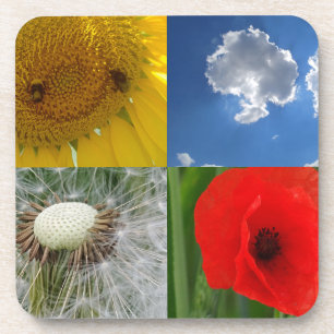 Funny Summer Flowers Coaster