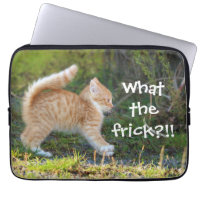 Funny Surprised Ginger Kitten What the Frick