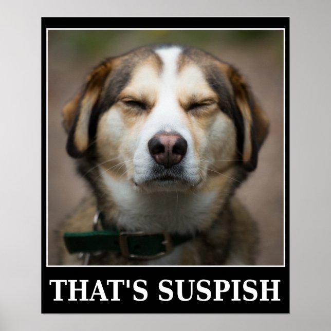Funny Suspish Dog Meme  Poster (Front)