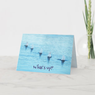 Funny Swans Diving What's Up All Occasion Blank Holiday Card