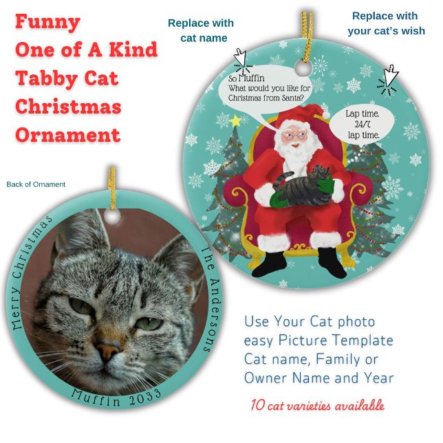 Funny Tabby Cat Visits Santa with Hilarious Wishe Ceramic Tree Decoration (Your Tabby cat gives Santa Paws Christmas wish list custom double sided photo template Ornament)