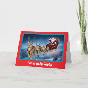 Funny Tabby Reindeer Christmas Card