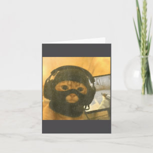 Funny Tactical Gamer Cat Meme Graphic Card