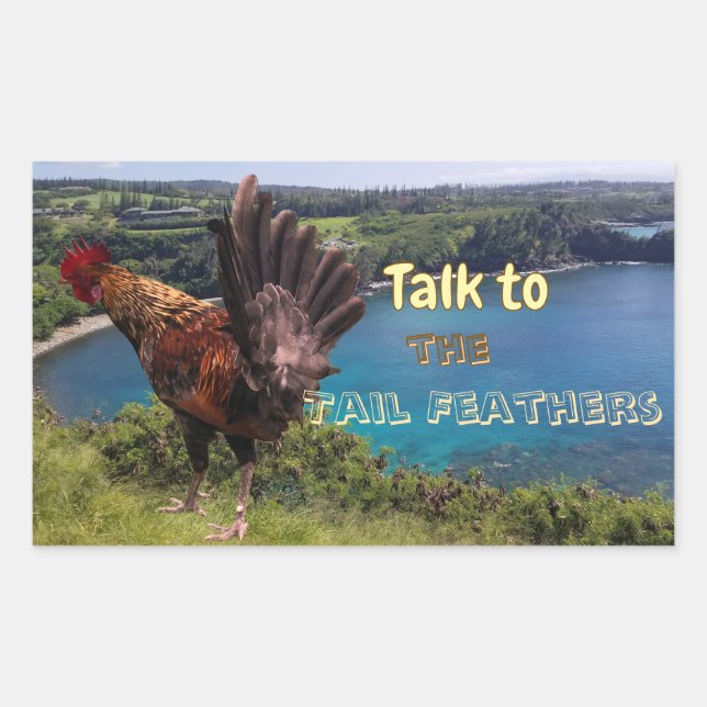 Funny Talk to the Tail Feathers Rooster Rectangular Sticker (Front)