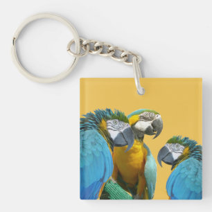 Funny Talking Parrots Cust. Text + Colour Keychain