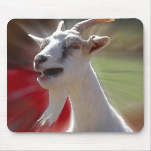 Funny Tallking Goat Photograph Mouse Pad