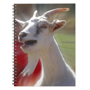 Funny Tallking Goat Photograph Spiral Notebook