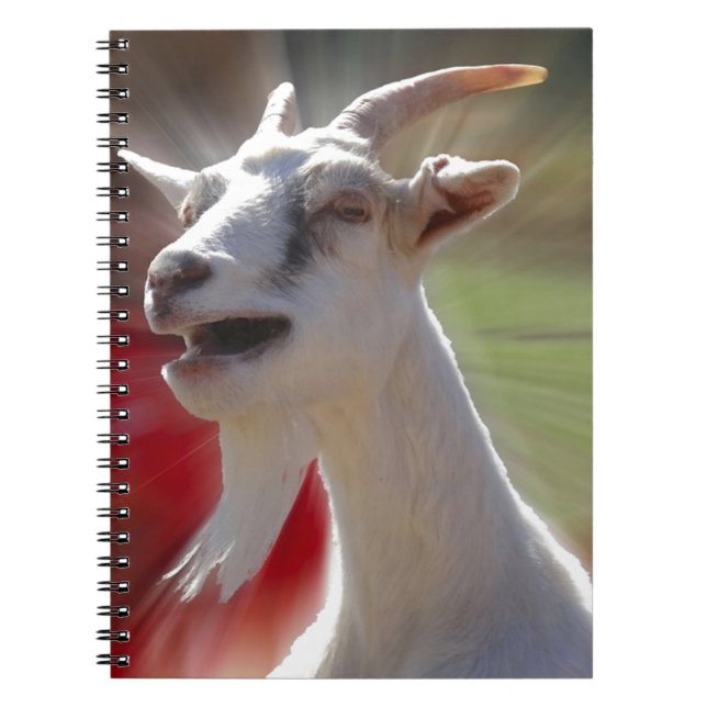 Funny Tallking Goat Photograph Spiral Notebook (Front)