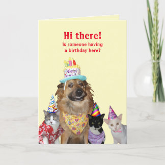 Funny Template for Birthday