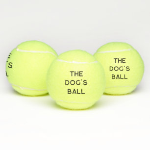 funny the dog's ball animal dog tennis ball