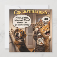 Funny the prank dog and cat congratulations readin