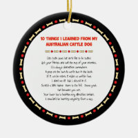 Funny Things I Learned From Australian Cattle Dog