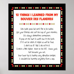 Funny Things I Learned From Bouvier des Flandres Poster