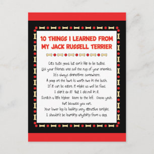 Funny Things I Learned From Jack Russell Terrier Postcard