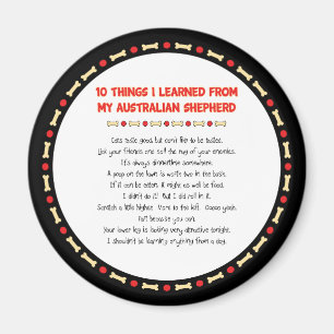 Funny Things I Learned From My Australian Shepherd Magnet