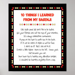 Funny Things I Learned From My Basenji Poster