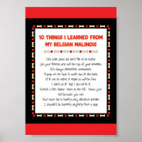 Funny Things I Learned From My Belgian Malinois