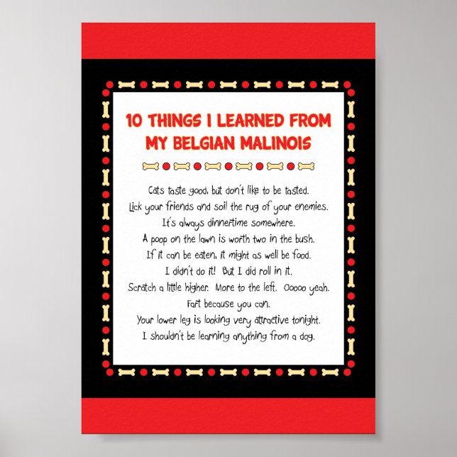 Funny Things I Learned From My Belgian Malinois Poster (Front)
