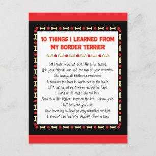 Funny Things I Learned From My Border Terrier Postcard