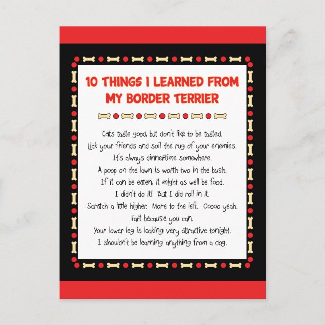 Funny Things I Learned From My Border Terrier Postcard (Front)