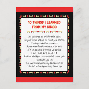 Funny Things I Learned From My Dingo Postcard